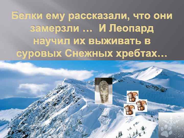 Белки ему рассказали, что они замерзли … И Леопард научил их выживать в суровых