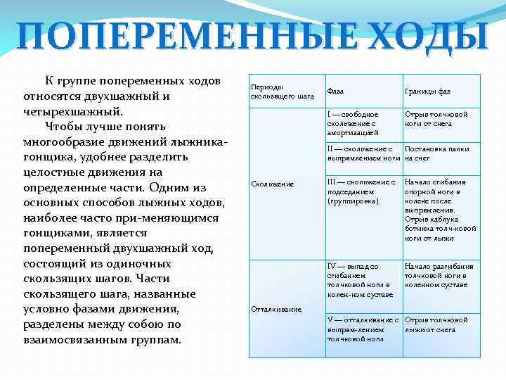 ПОПЕРЕМЕННЫЕ ХОДЫ К группе попеременных ходов относятся двухшажный и четырехшажный. Чтобы лучше понять многообразие