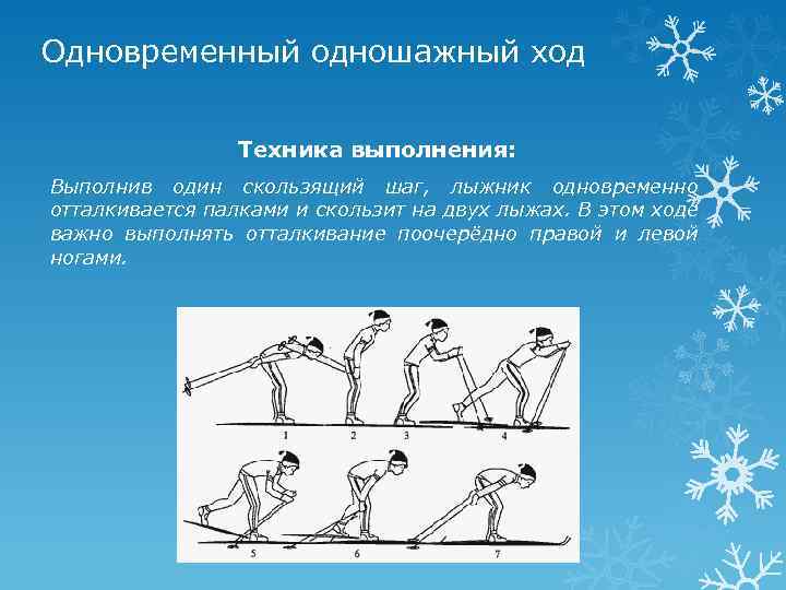 Одновременный одношажный ход Техника выполнения: Выполнив один скользящий шаг, лыжник одновременно отталкивается палками и