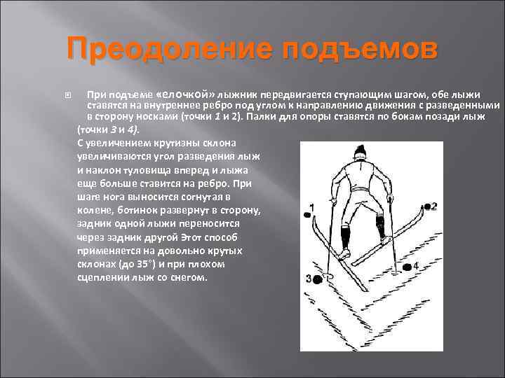 Преодоление подъемов При подъеме «елочкой» лыжник передвигается ступающим шагом, обе лыжи ставятся на внутреннее