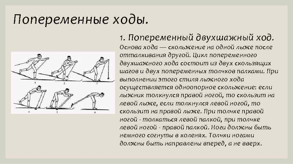 Попеременные ходы. 1. Попеременный двухшажный ход. Основа хода — скольжение на одной лыже после