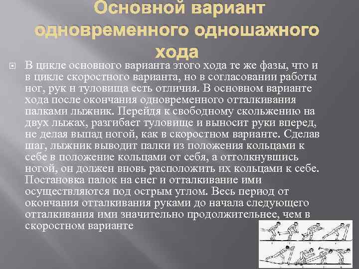 Основной вариант одновременного одношажного хода В цикле основного варианта этого хода те же фазы,