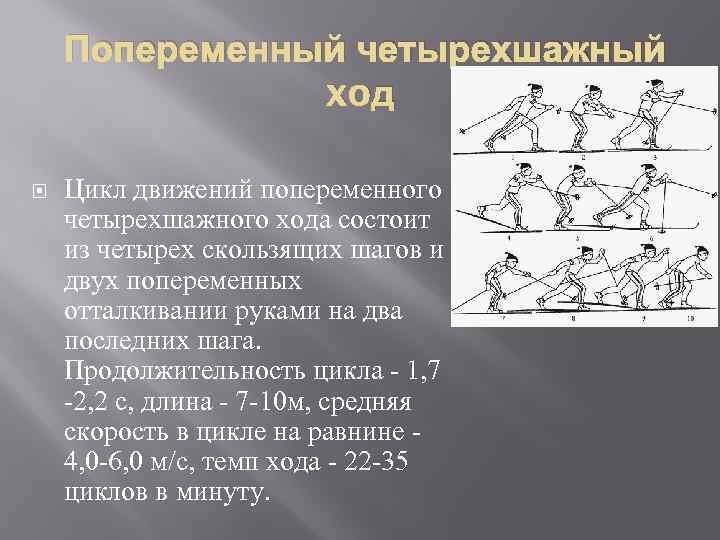 Попеременный четырехшажный xoд Цикл движений попеременного четырехшажного хода состоит из четырех скользящих шагов и