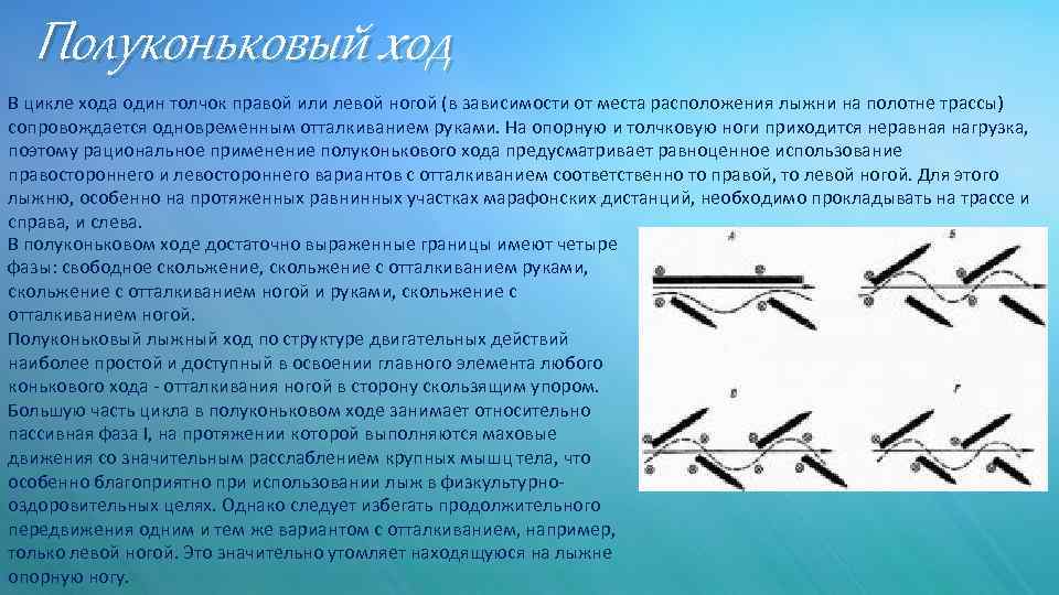 Полуконьковый ход В цикле хода один толчок правой или левой ногой (в зависимости от