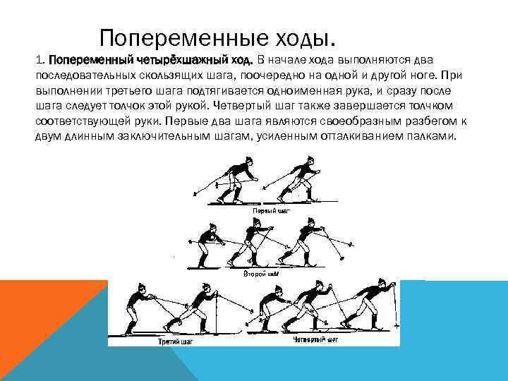 Попеременные хода в лыжном спорте. Попеременный четырехшажный ход. Попеременный четырёхшажный ход на лыжах. Техника попеременного двухшажного хода кратко. Попеременный ход в два шага.