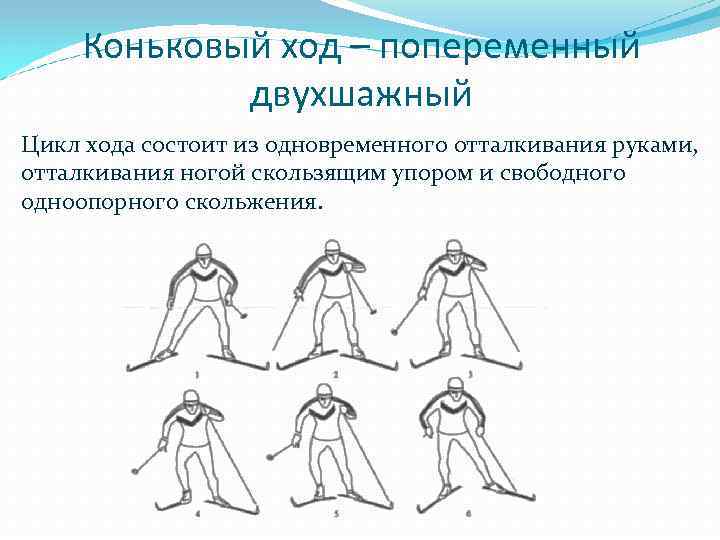 Коньковый ход – попеременный двухшажный Цикл хода состоит из одновременного отталкивания руками, отталкивания ногой