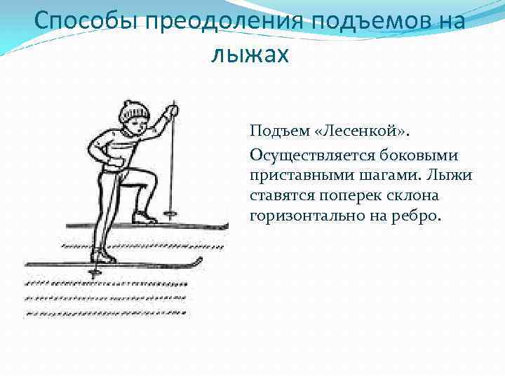 Способы преодоления подъемов на лыжах Подъем «Лесенкой» . Осуществляется боковыми приставными шагами. Лыжи ставятся