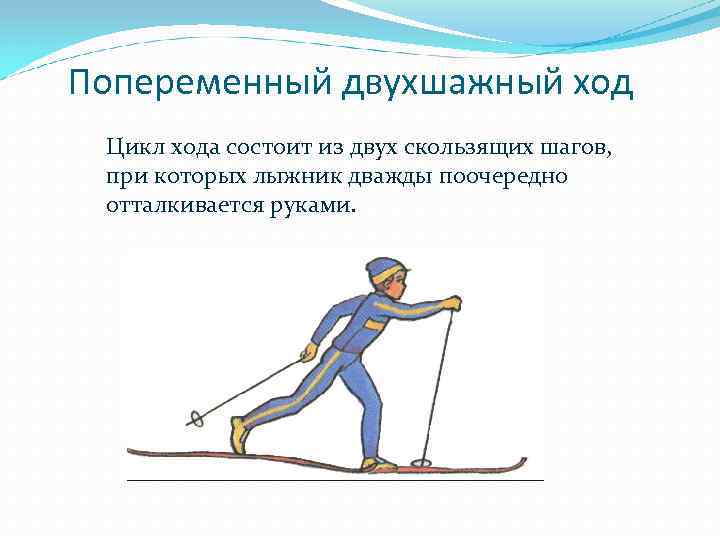  Попеременный двухшажный ход Цикл хода состоит из двух скользящих шагов, при которых лыжник