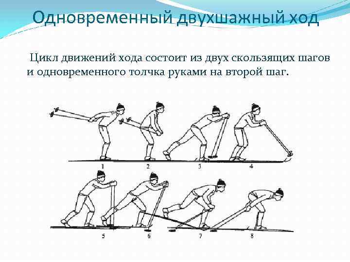 Одновременный двухшажный ход Цикл движений хода состоит из двух скользящих шагов и одновременного толчка