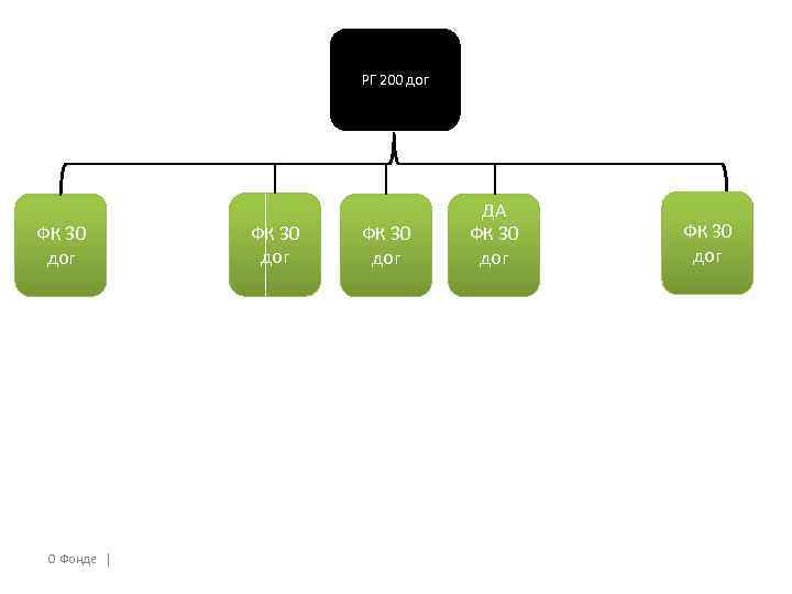 РГ 200 дог ФК 30 дог О Фонде │ ФК 30 дог ДА ФК