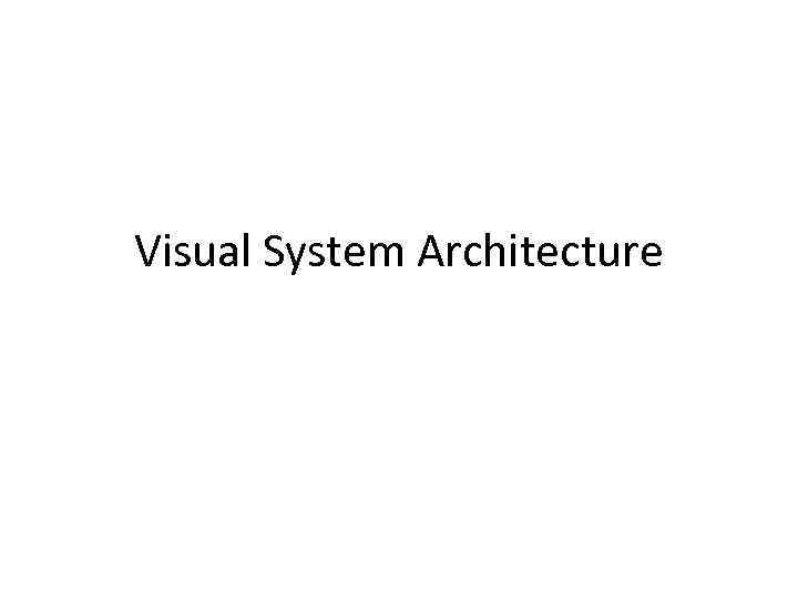 Visual System Architecture 