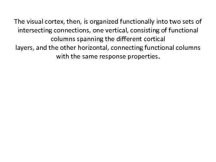 The visual cortex, then, is organized functionally into two sets of intersecting connections, one