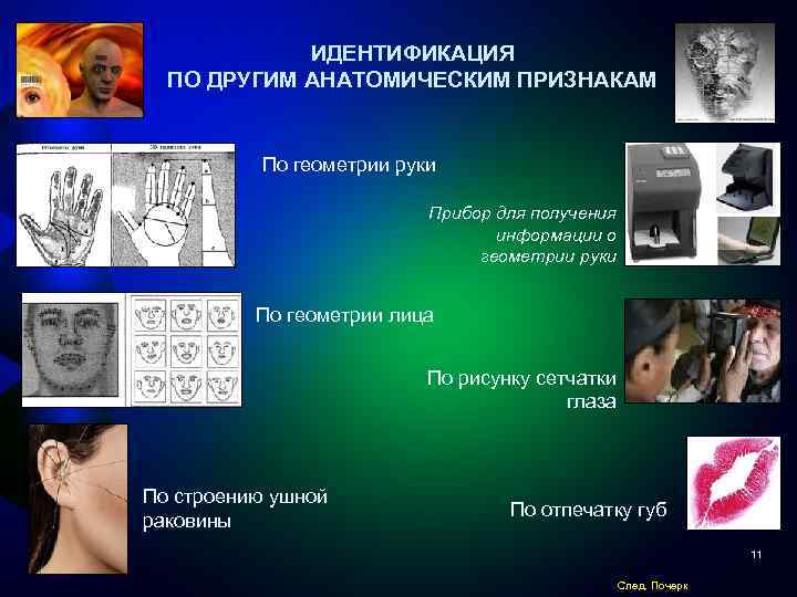 ИДЕНТИФИКАЦИЯ ПО ДРУГИМ АНАТОМИЧЕСКИМ ПРИЗНАКАМ По геометрии руки Прибор для получения информации о геометрии