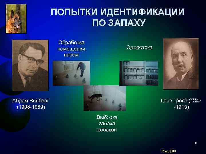 ПОПЫТКИ ИДЕНТИФИКАЦИИ ПО ЗАПАХУ Обработка помещения паром Одоротека Абрам Винберг (1908 -1989) Ганс Гросс