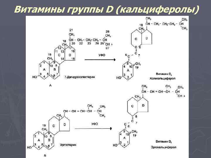 Витамины группы D (кальциферолы) 