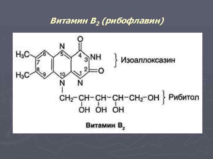 Витамин В 2 (рибофлавин) 