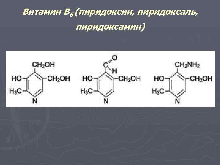 Витамин В 6 (пиридоксин, пиридоксаль, пиридоксамин) 