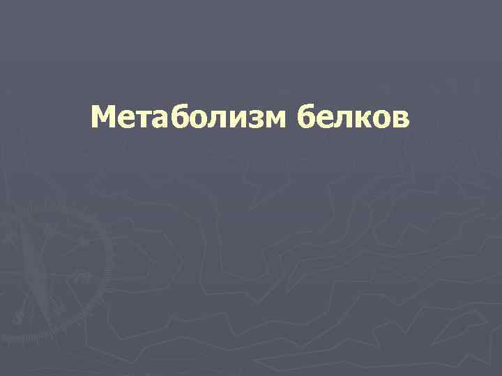 Метаболизм белков 