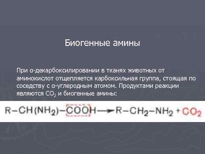 Биогенные амины При α-декарбоксилировании в тканях животных от аминокислот отщепляется карбоксильная группа, стоящая по