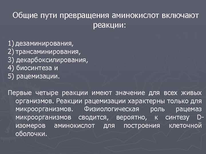 Пул аминокислот в клетке общая схема поступления и расходования аминокислот