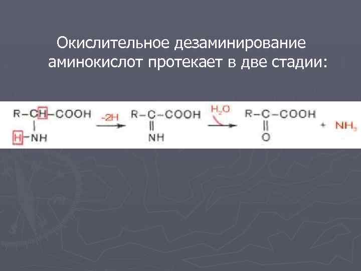 Окислительное дезаминирование аминокислот протекает в две стадии: 