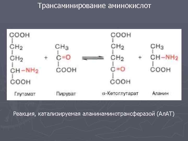 Пировиноградная кислота свойства