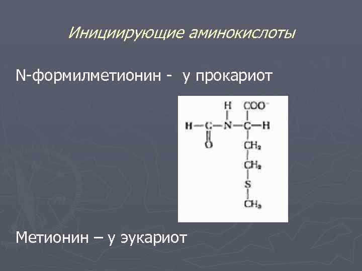 Инициирующие аминокислоты N-формилметионин - у прокариот Метионин – у эукариот 