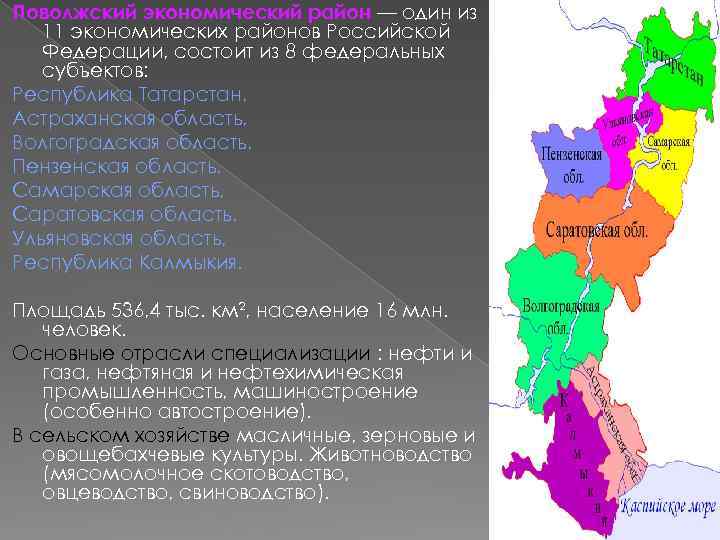 С каким географическим районом россия граничит поволжье