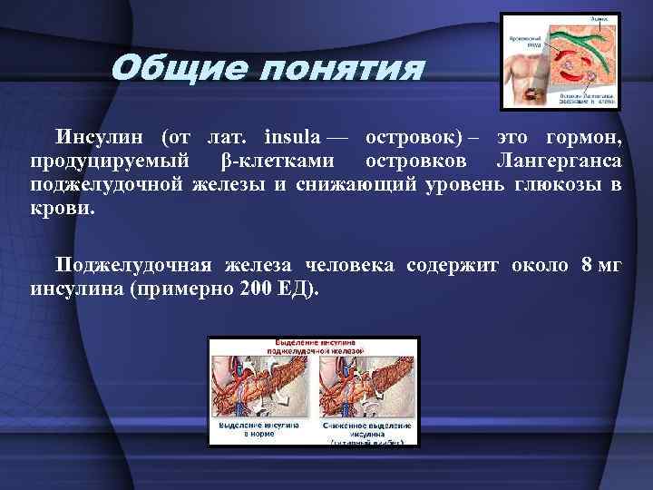 Общие понятия Инсулин (от лат. insula — островок) – это гормон, продуцируемый β-клетками островков