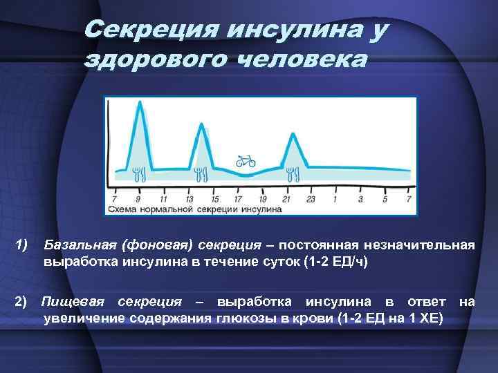 Секреция инсулина у здорового человека 1) Базальная (фоновая) секреция – постоянная незначительная выработка инсулина