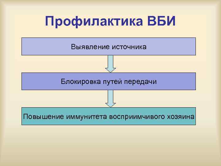 Профилактика ВБИ Выявление источника Блокировка путей передачи Повышение иммунитета восприимчивого хозяина 