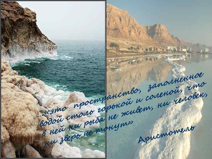 нное лне то запо й, ч тво, олено нс век, а стр кой и