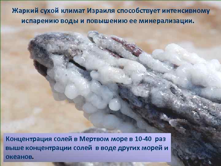  Жаркий сухой климат Израиля способствует интенсивному испарению воды и повышению ее минерализации. Концентрация