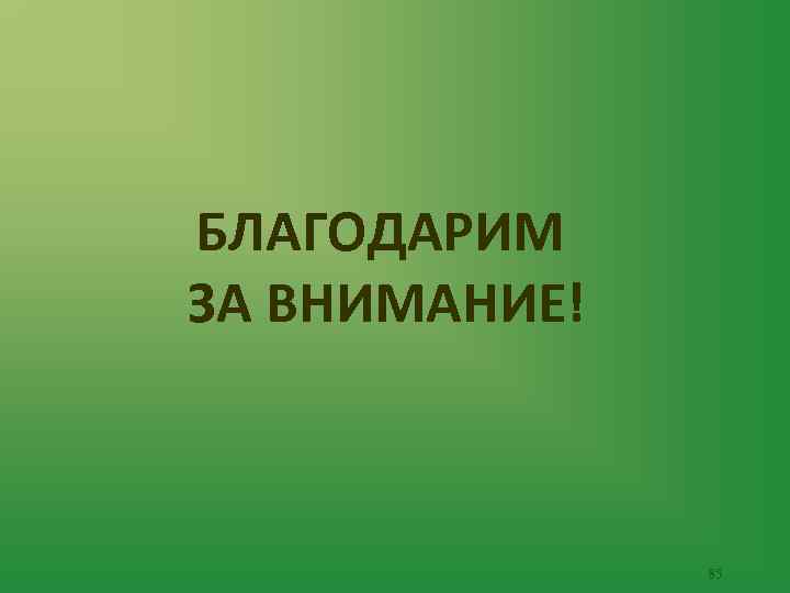 БЛАГОДАРИМ ЗА ВНИМАНИЕ! 85 