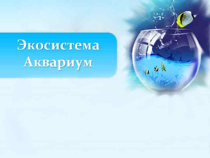 Экосистема Аквариум 