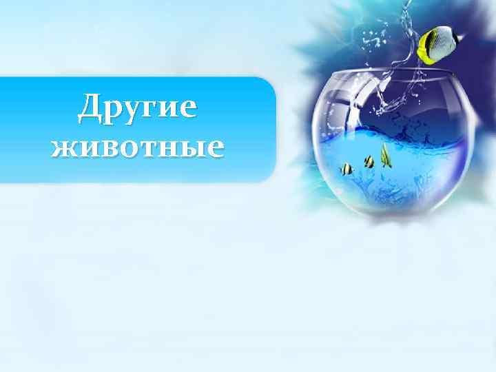 Другие животные 