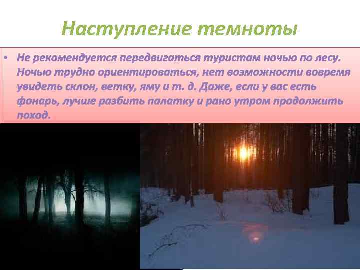 Почему ночью опасно. До наступления Темноты. Опасности в лесу. Рассказ о опасностях в лесу. Проект на тему опасности в лесу.