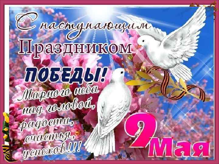 http: //ru. viptalisman. com/flash/templates/graduate_album/album 2/852_small. jpg 