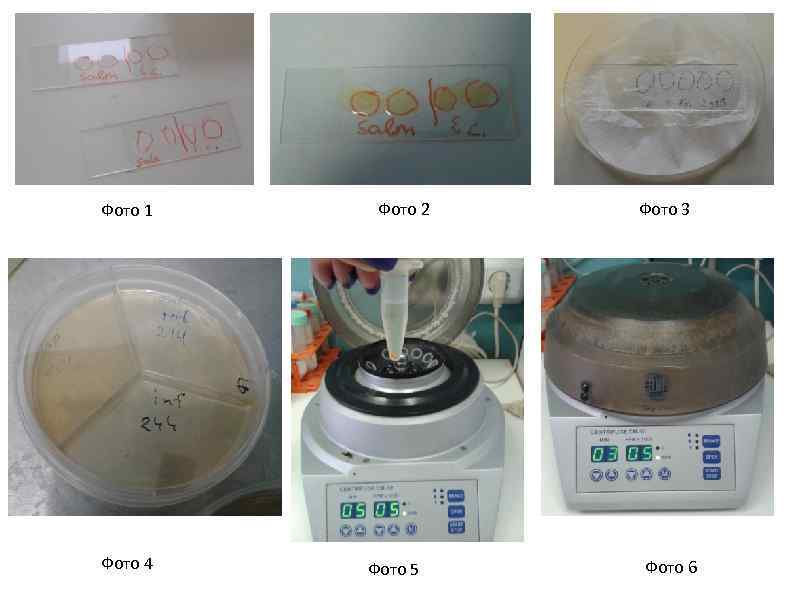 Фото 1 Фото 2 Фото 3 Рис. 4 Фото 5 Фото 6 