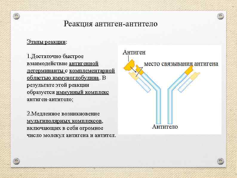 Общие принципы дизайна антигенов