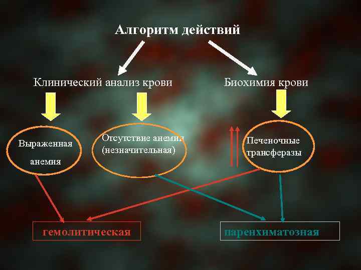 Алгоритм действий Клинический анализ крови Выраженная Отсутствие анемии (незначительная) анемия гемолитическая Биохимия крови Печеночные