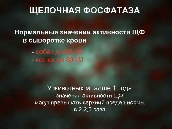 ЩЕЛОЧНАЯ ФОСФАТАЗА Нормальные значения активности ЩФ в сыворотке крови - собак до 60 U/l