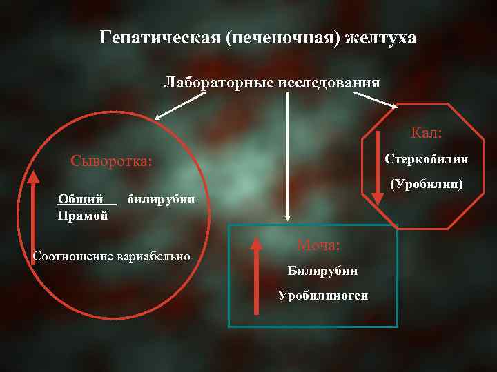 Гепатическая (печеночная) желтуха Лабораторные исследования Кал: Стеркобилин Сыворотка: Общий Прямой (Уробилин) билирубин Соотношение вариабельно