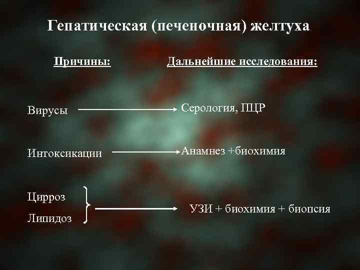 Гепатическая (печеночная) желтуха Причины: Дальнейшие исследования: Вирусы Серология, ПЦР Интоксикации Анамнез +биохимия Цирроз Липидоз