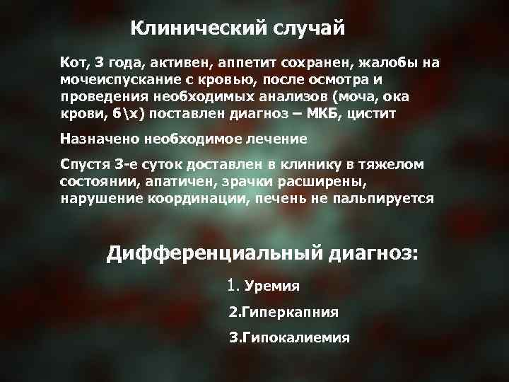 Клинический случай Кот, 3 года, активен, аппетит сохранен, жалобы на мочеиспускание с кровью, после