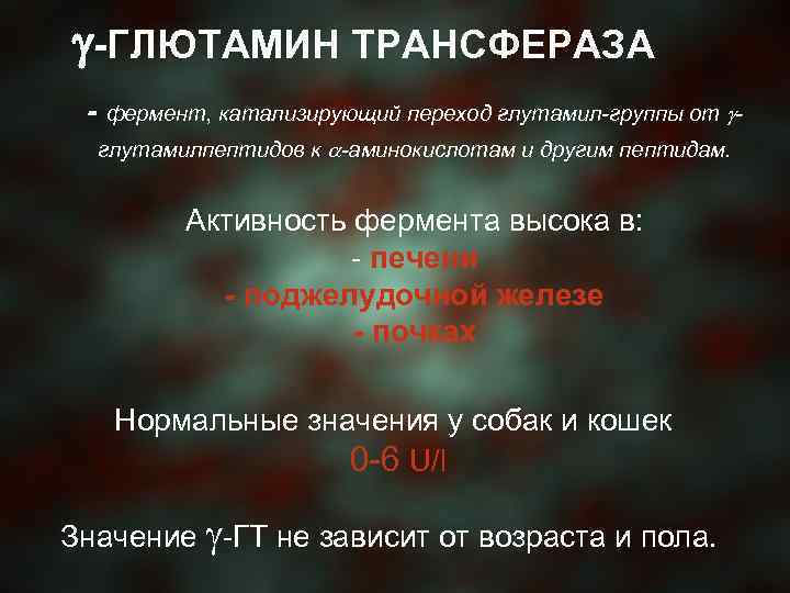  -ГЛЮТАМИН ТРАНСФЕРАЗА - фермент, катализирующий переход глутамил-группы от глутамилпептидов к -аминокислотам и другим