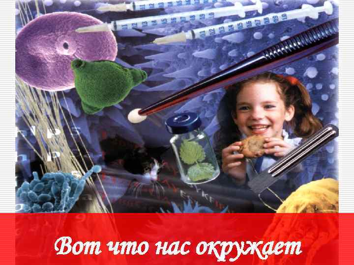 Вот что нас окружает 