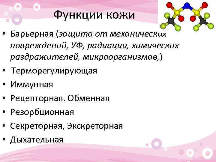 Функции кожи • Барьерная (защита от механических повреждений, УФ, радиации, химических раздражителей, микроорганизмов, )