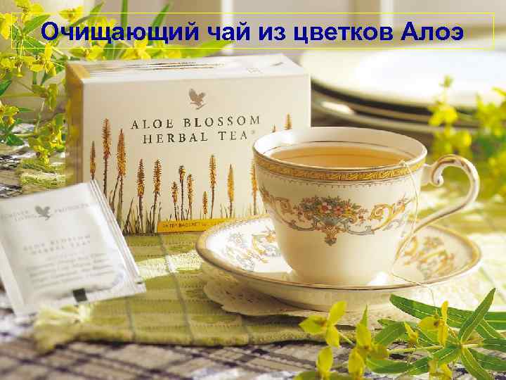 Очищающий чай из цветков Алоэ 