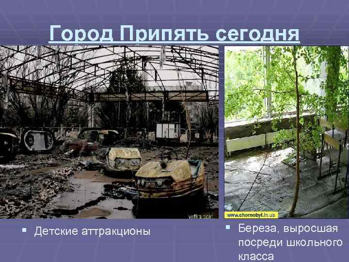 Город Припять сегодня § Детские аттракционы § Береза, выросшая посреди школьного класса 